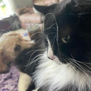 Meet your Posher, Mary ann